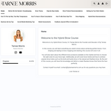 Online Hybrid Brow Course
